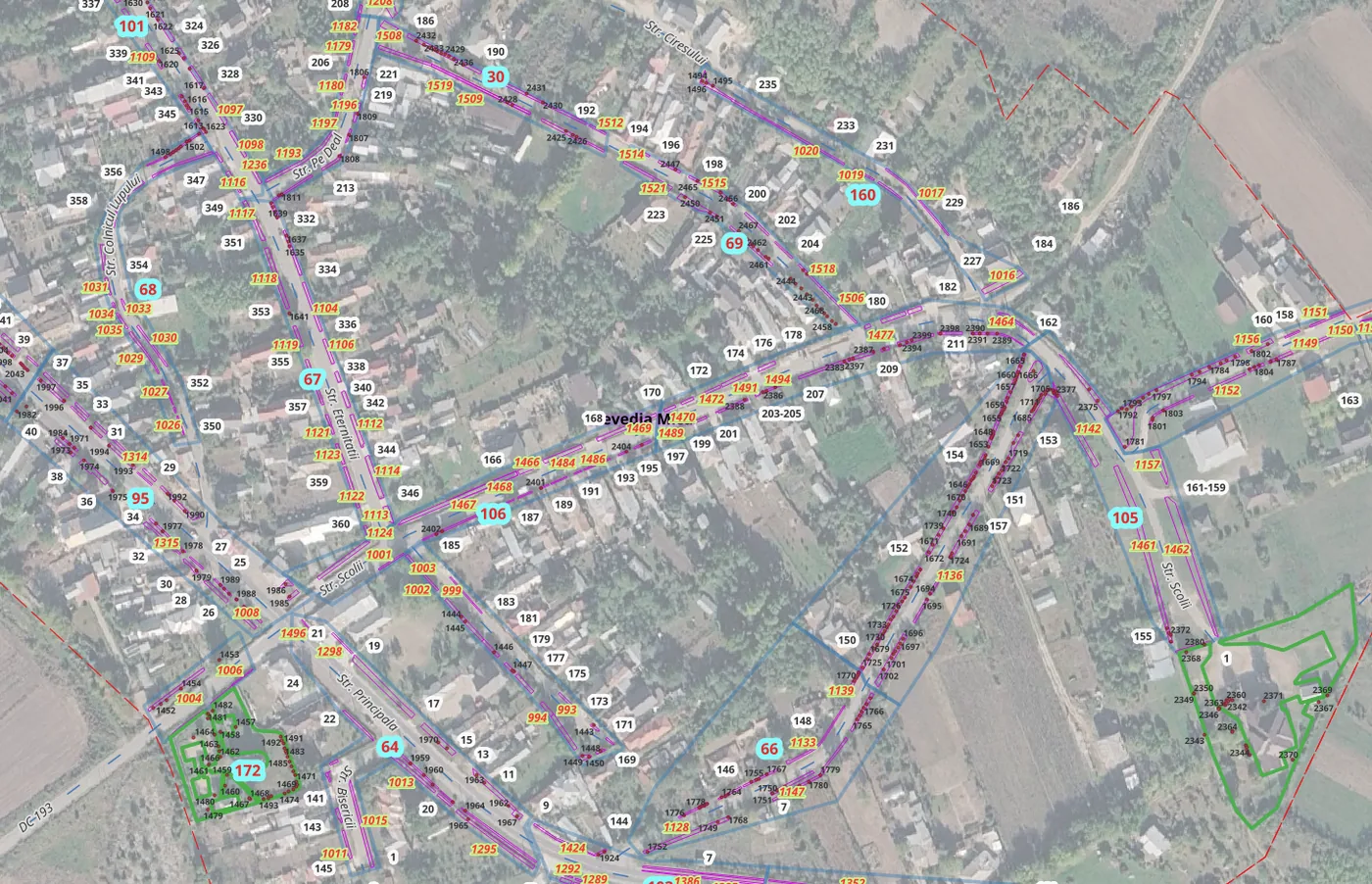 Registrul spațiilor verzi — hartă ortofoto cu arbori inventariați